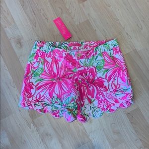 NWT Buttercup Stretch Short koala me maybe 4